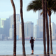 F1's Miami Grand Prix, Which Is Not Happening, Is Now Not Happening Until 2020